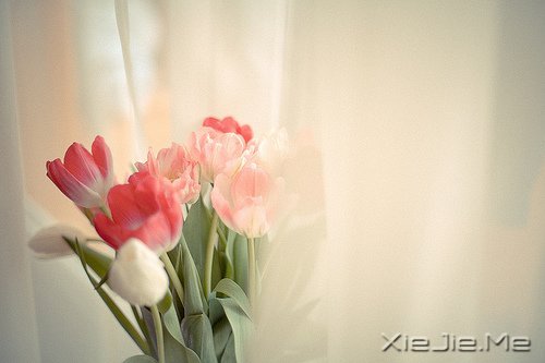 活得平和，才能在心里装下满满的幸福 (1)