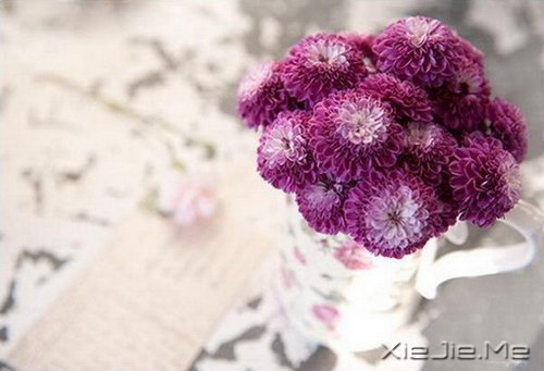 活得平和，才能在心里装下满满的幸福 (3)