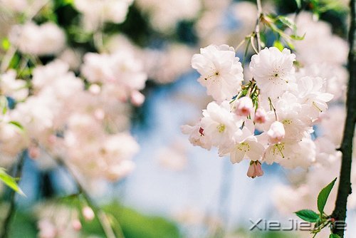 活得平和，才能在心里装下满满的幸福 (4)