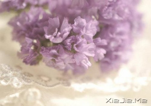 活得平和，才能在心里装下满满的幸福 (6)