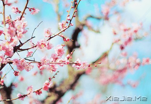 活得平和，才能在心里装下满满的幸福 (7)