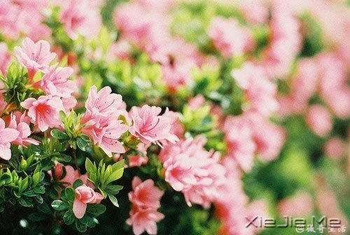 人，总是要醒来的，在某个时刻 (3)