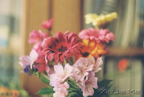 人，总是要醒来的，在某个时刻 (4)