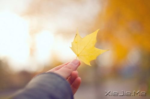 晚安心语：若你懂得，就请珍惜 (1)