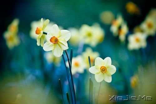 既然倒着走难受，就向前看吧